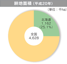 耕地面積（平成20年）