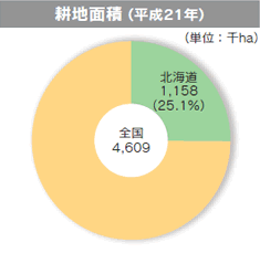 耕地面積（平成21年）