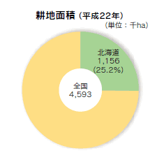 耕地面積（平成22年）