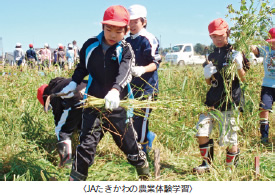 （JAたきかわの農業体験学習）